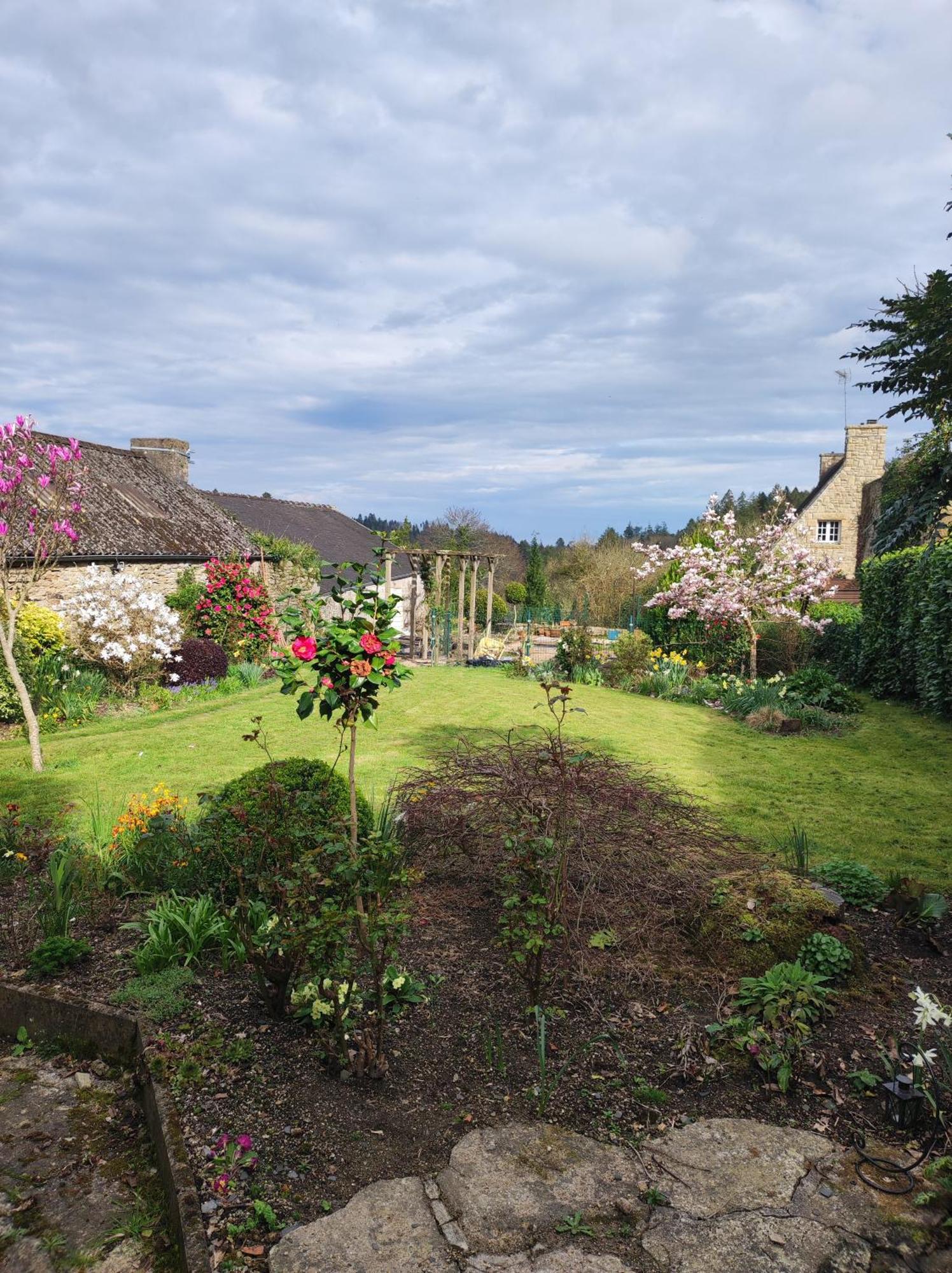 Rose Cottage ユエルゴア エクステリア 写真